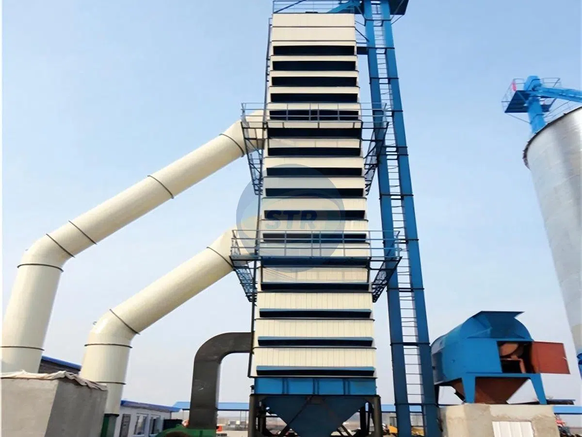 Tháp sấy lúa liên tục 100 tấn cho nhà máy lương thực quy mô lớn