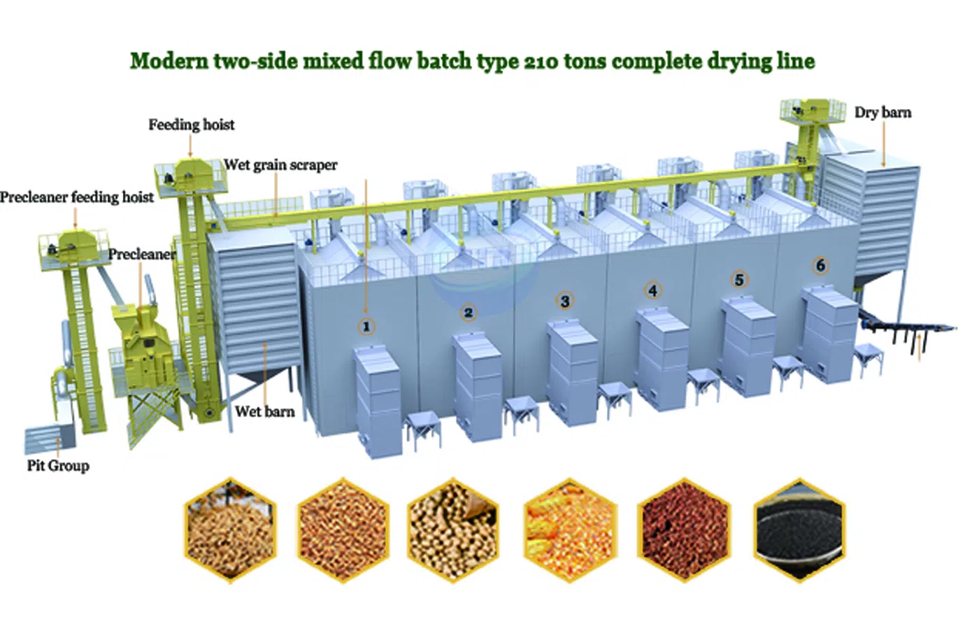 Máy sấy lúa nhiệt độ thấp Tongtai đang vận hành thực tế